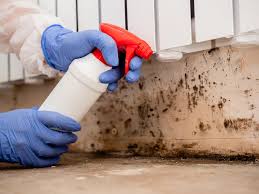 Best Environmental Consulting for Mold Prevention in Diablo Grande, CA